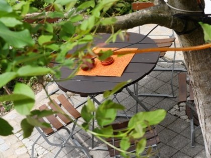 Foto: Behringers